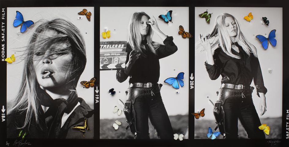 Bardot, by Bran Symondson