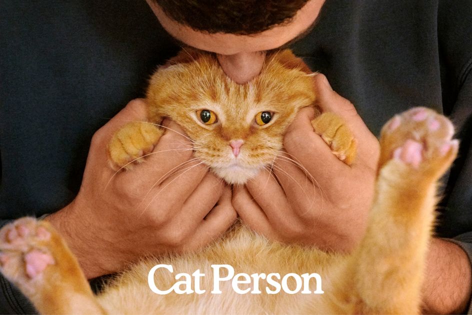 Brand photography celebrating the bond between cats and their person, photographed by David Robert Elliott