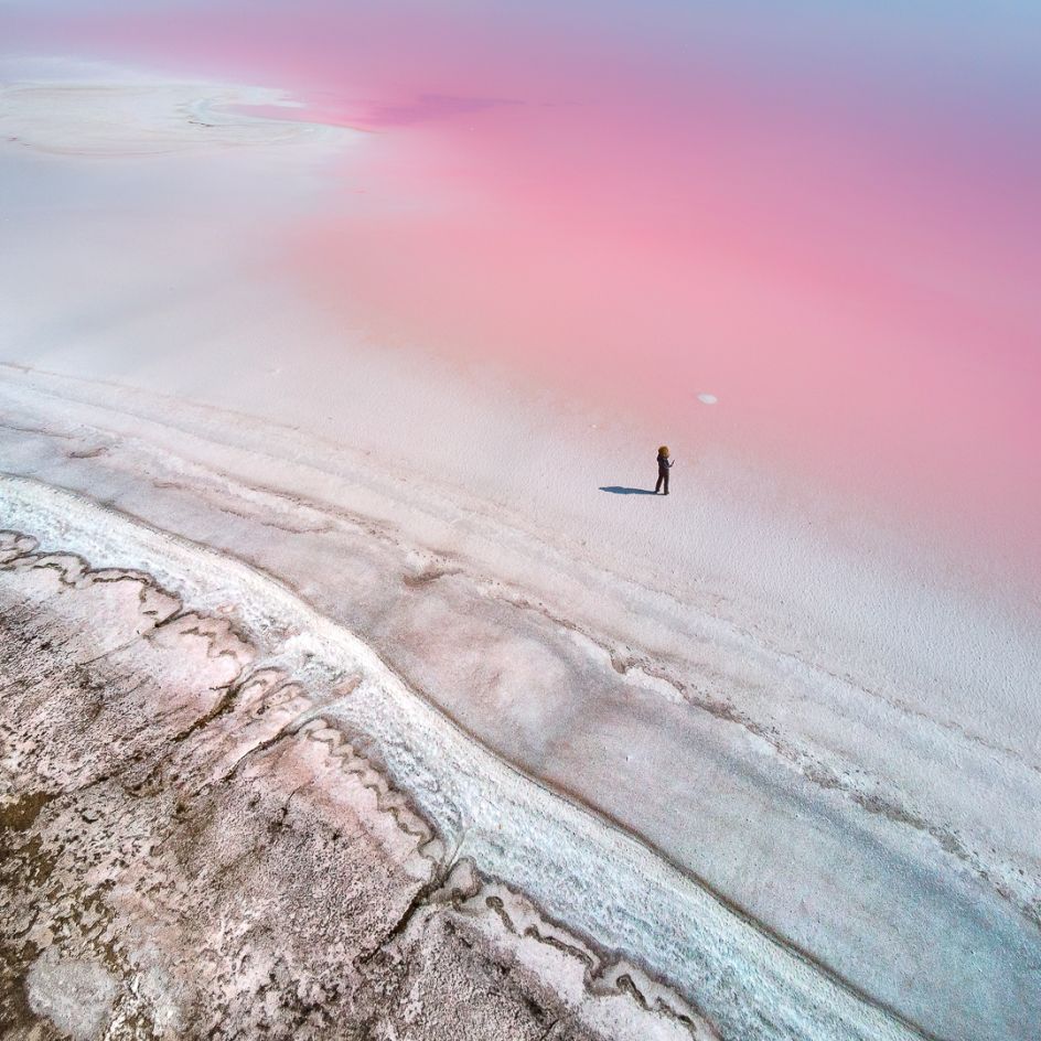 At the Pink Planet © Yevhen Samuchenko, Ukraine, Shortlist, Professional, Natural World & Wildlife, 2020 Sony World Photography Awards