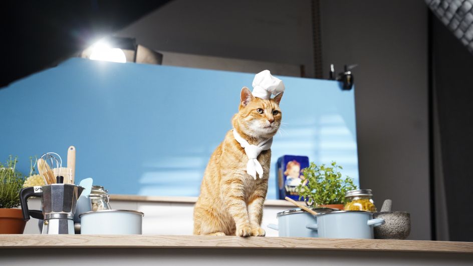 Behind the scenes for Be Frank © Studio Mals