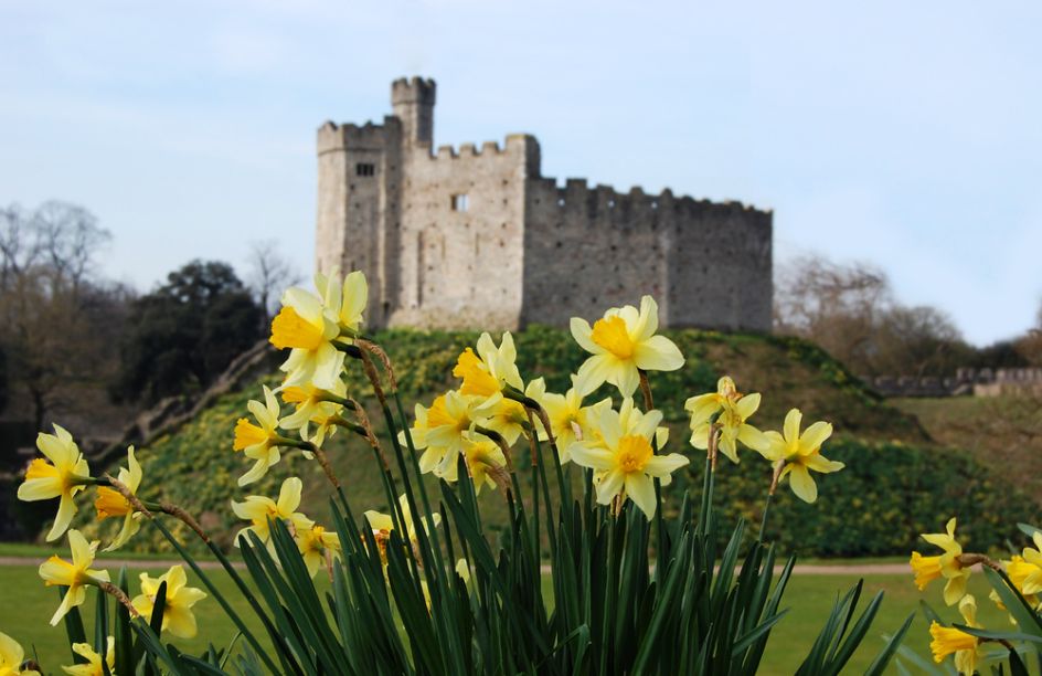 Cardiff Castle. Image Credit: [Shutterstock.com](http://www.shutterstock.com/cat.mhtml?lang=en&search_source=search_form&version=llv1&anyorall=all&safesearch=1&searchterm=cardiff&search_group=#id=99038657&src=AQiN2ntVJB6hLcAVKGRKDw-1-14)