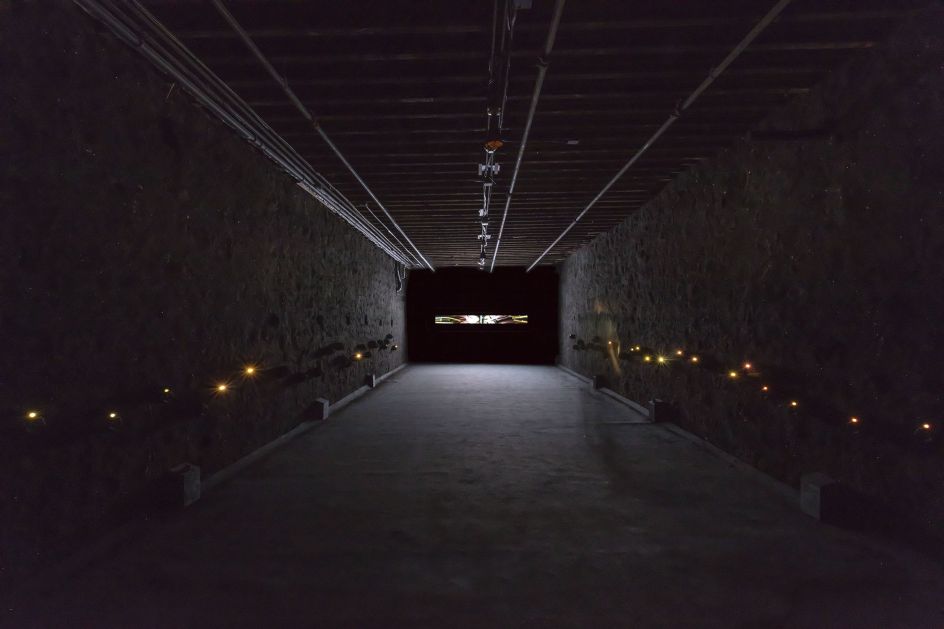 Laleh Mehran, The Interstitium. Photo credit: Tom Little.