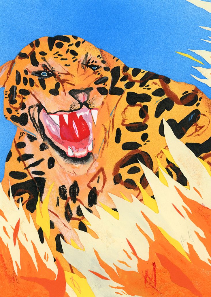 © David Heo. All images courtesy of DROOL and the artists. Via CB submission