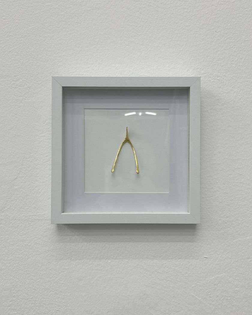 Wishes, 2026, Sarah Boris