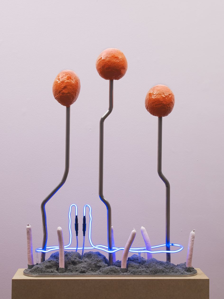 All images courtesy of the artist and Friedman Benda