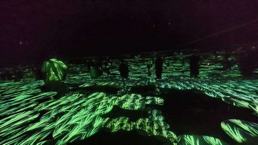 Tokyo's teamLab Borderless is the future of art shows, and it's coming to Europe