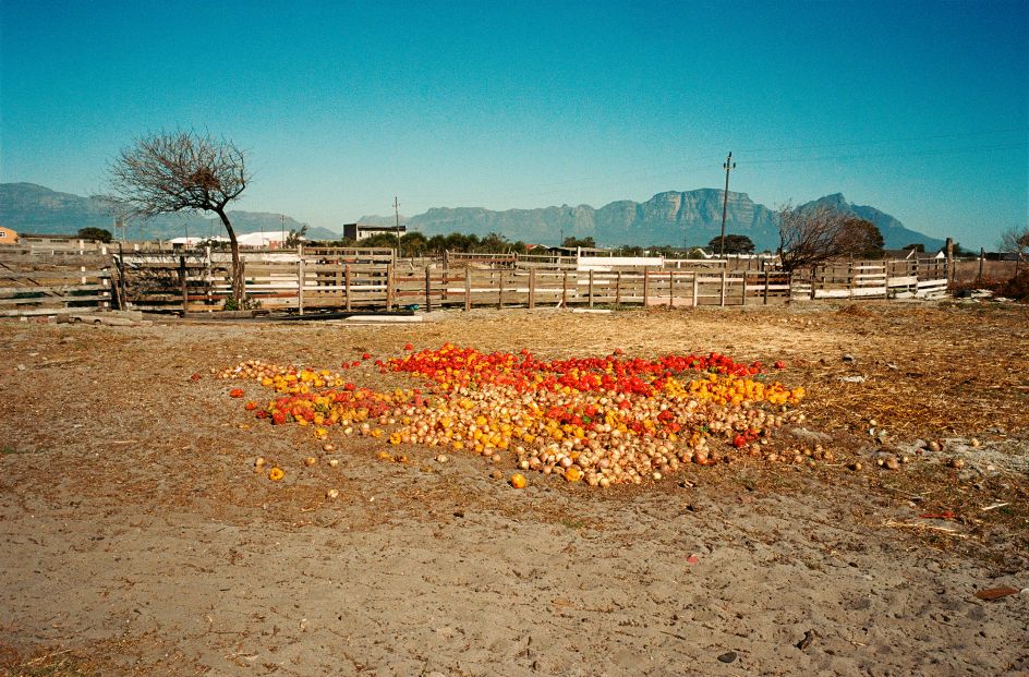Farm J Keene © Justin Keene