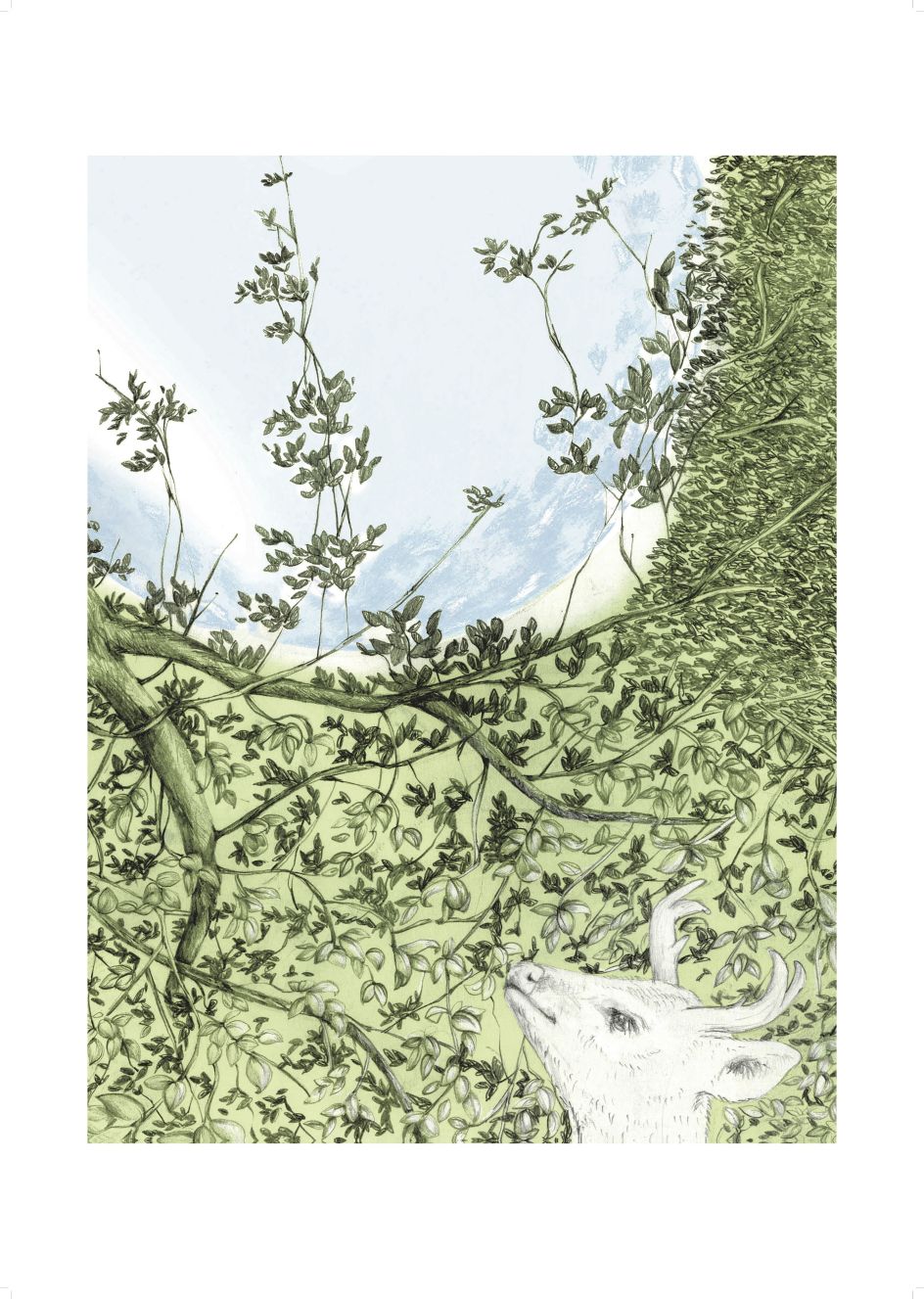 The opening image of Israeli illustrator [Marianne Yarmolinksy](https://marianne-yar.squarespace.com/), who collaborated with Antwerp print specialists [Kastaar](http://www.kastaar.com/)