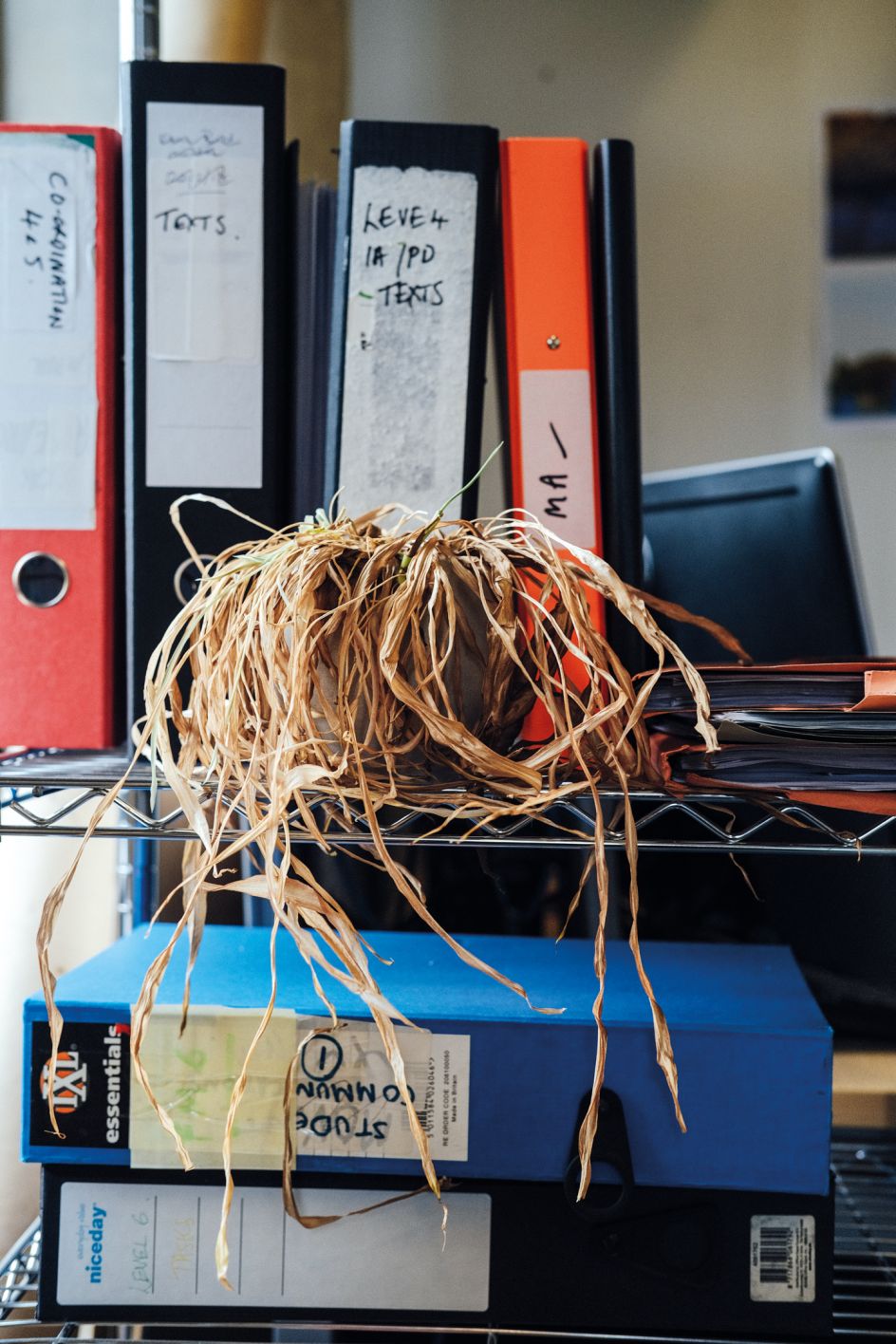 © Ricky Adam, from the series and zine, Don't You Forget About Me