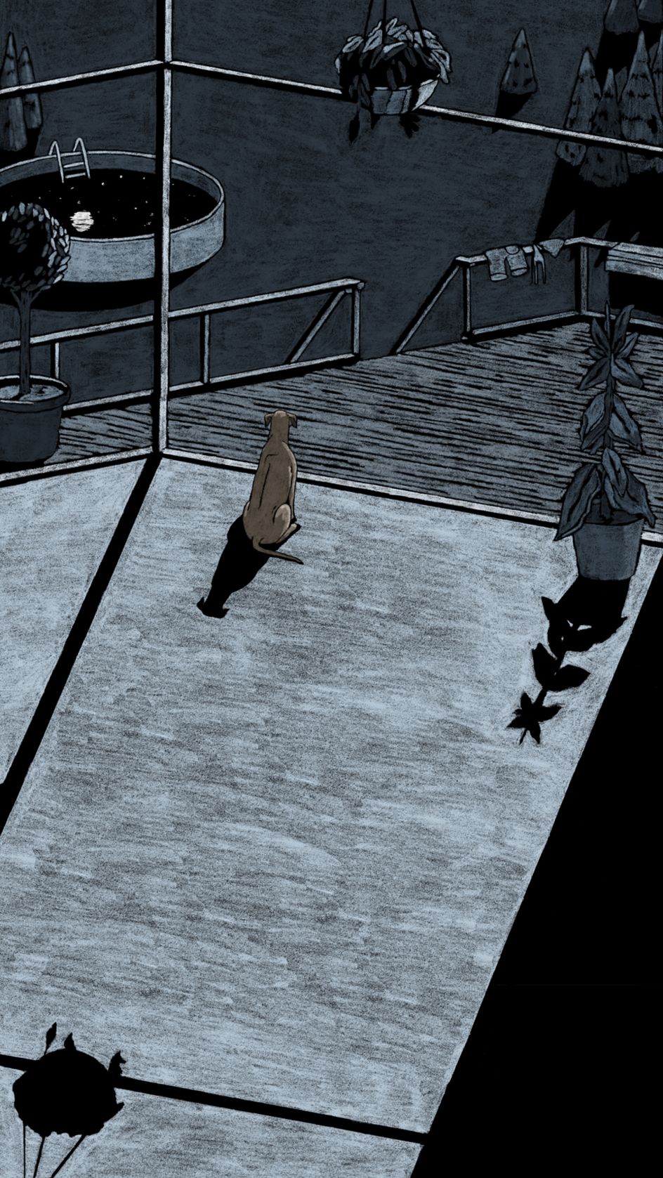 Thoka Maer - Winner of Design New Talent