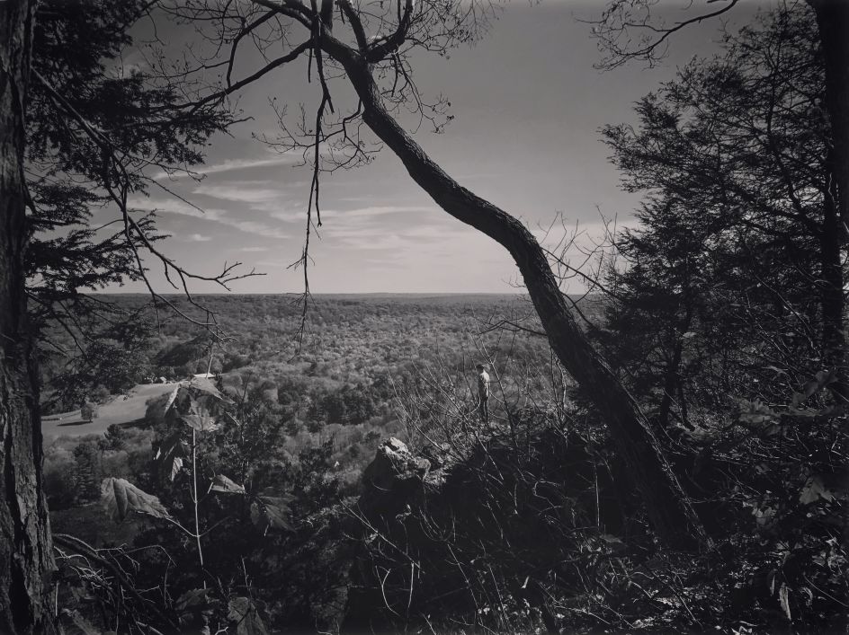 Copyright: © Megan Johnson, United States of America, Youth Photographer of the Year, Youth, Your Environment (2018 Youth competition), 2018 Sony World Photography Awards