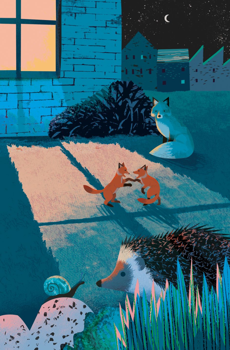 Natasha Durley and Elizabeth Jenner: What To Look For series (Copyright © Ladybird Books, 2021)