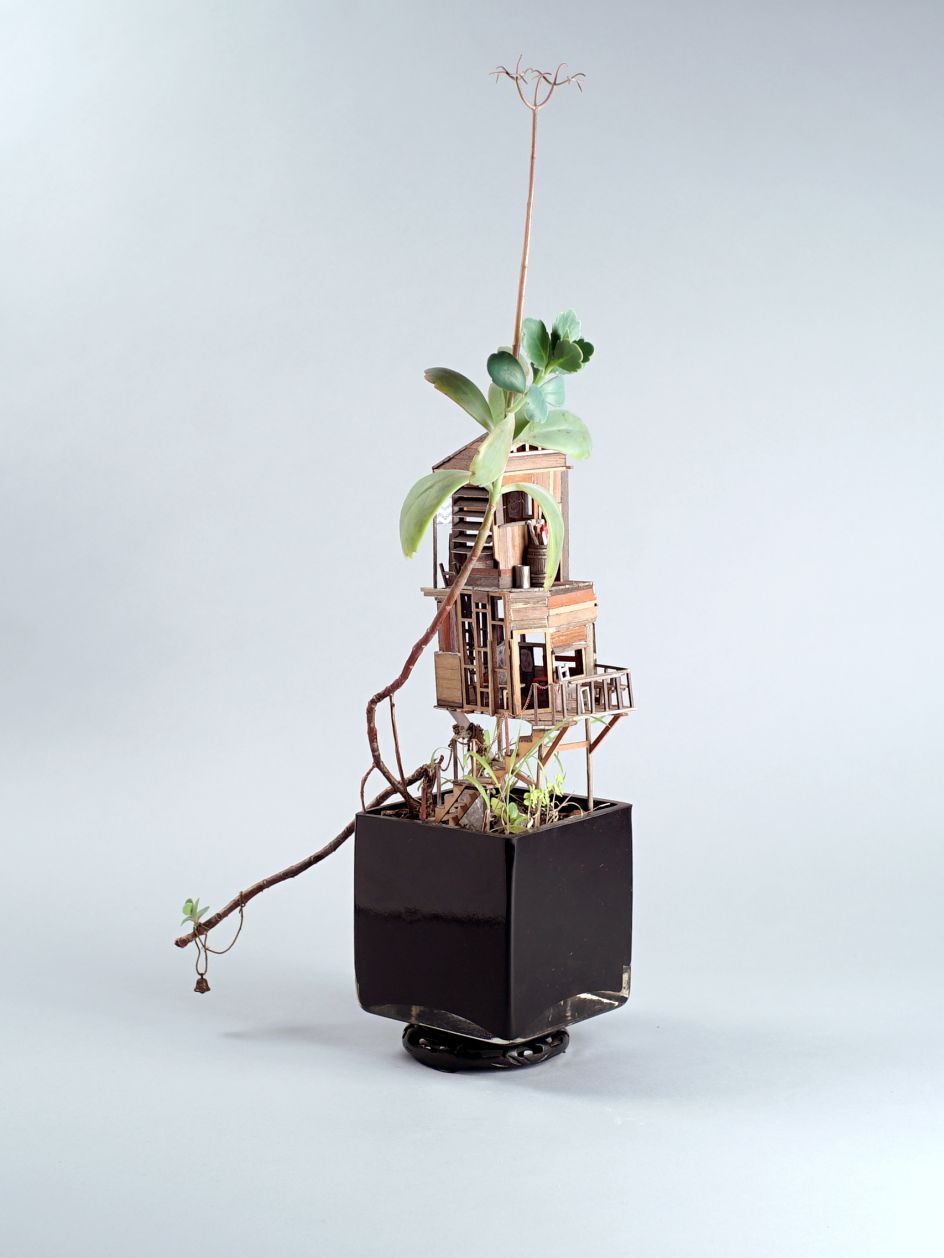 © Jedediah Corwyn Voltz