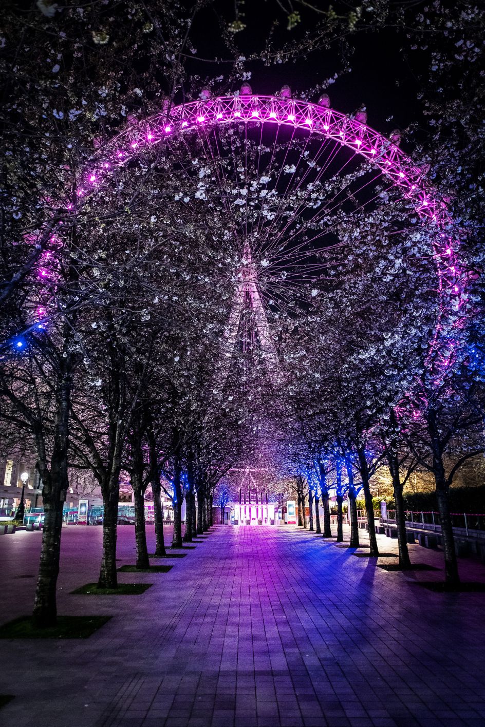 London Eye, 5 April 2020 © Jan Enkelmann