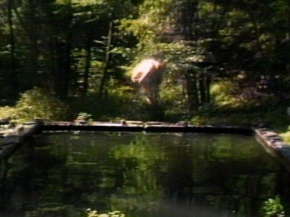 The Reflecting Pool, 1977–9 Videotape, color, mono sound; 7 minutes Performer: Bill Viola Courtesy Bill Viola Studio © Bill Viola Photo: Kira Perov
