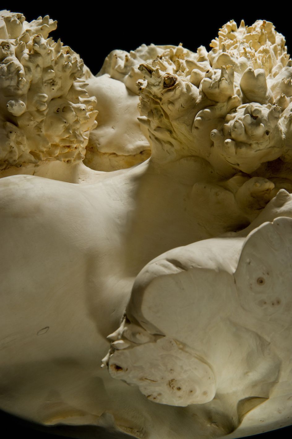 © Eleanor Lakelin. Image credit: Ester Segarra