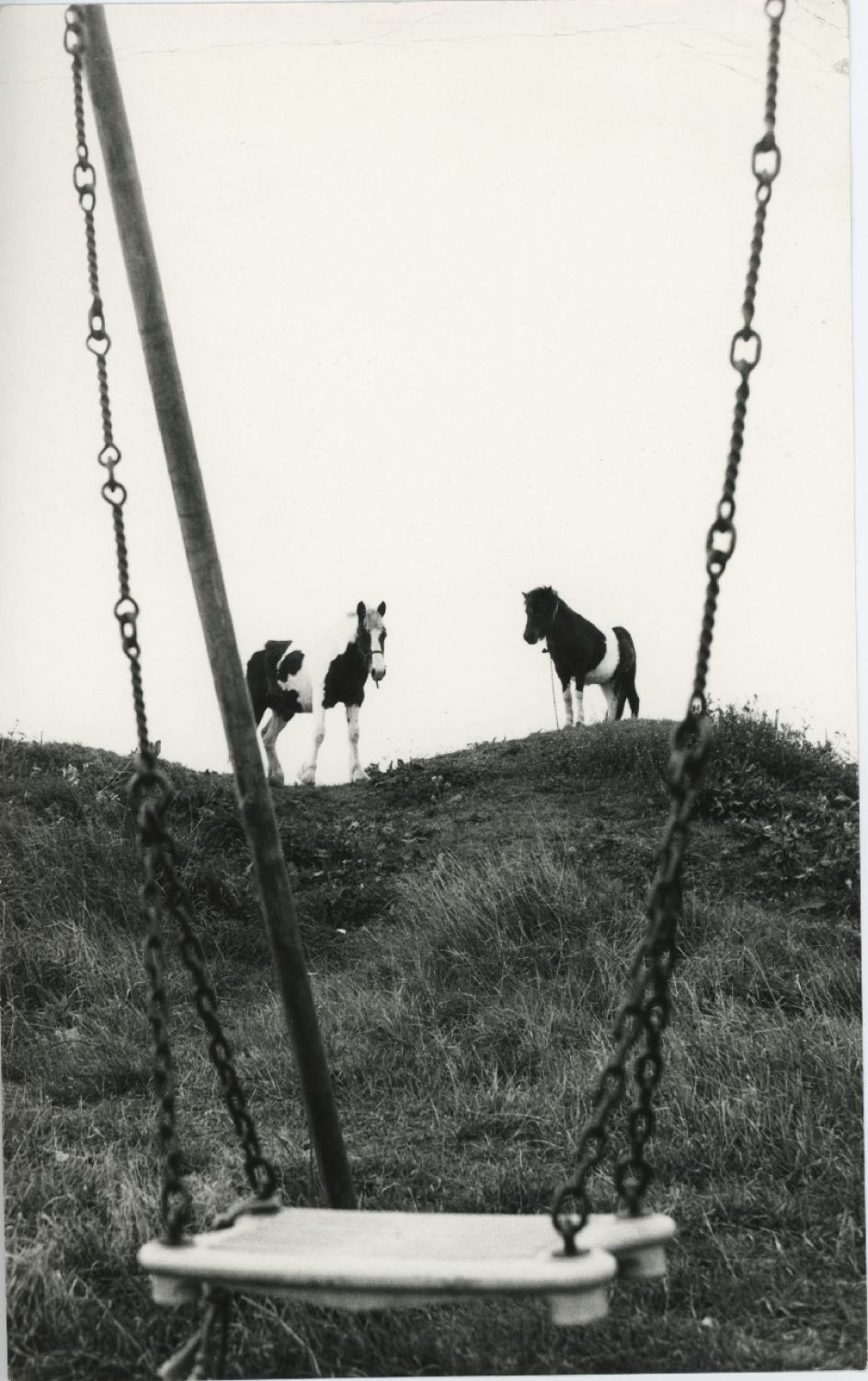 Jo Spence Gypsies (27) 1974. Courtesy the artist estate