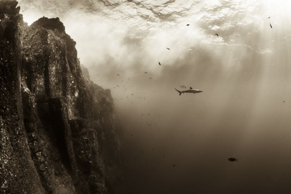 Copyright: © Christian Vizl, Mexico, 3rd Place, Professional, Natural World, 2017 Sony World Photography Awards