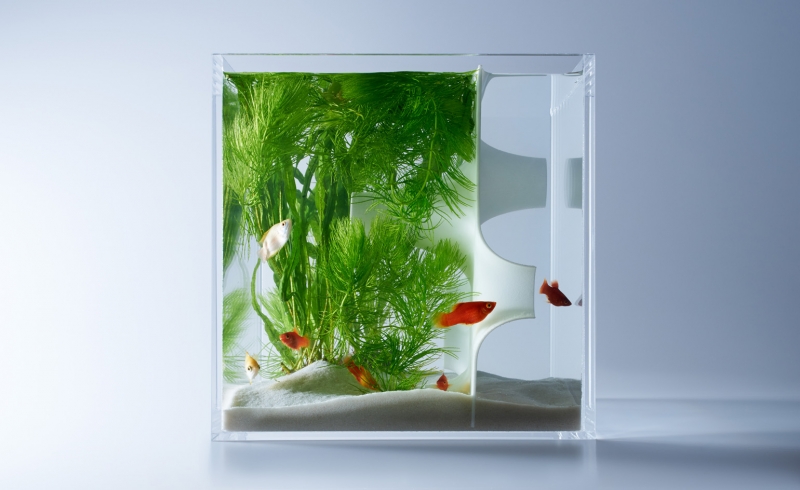 Waterscapes: Minimalist aquariums that float the idea of underwater 3D  printing
