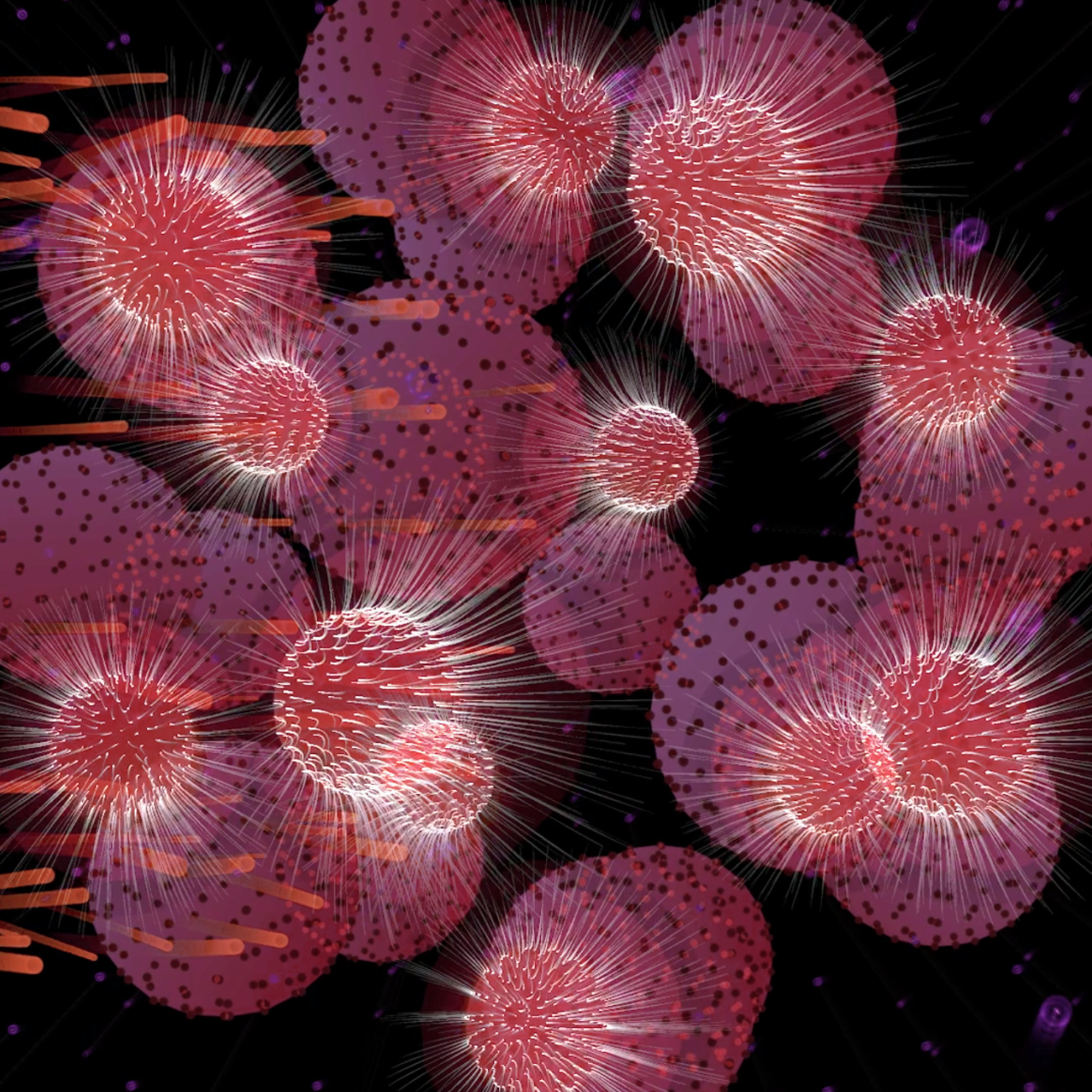 NFT and digital artist Leo Villareal lights up the art world with