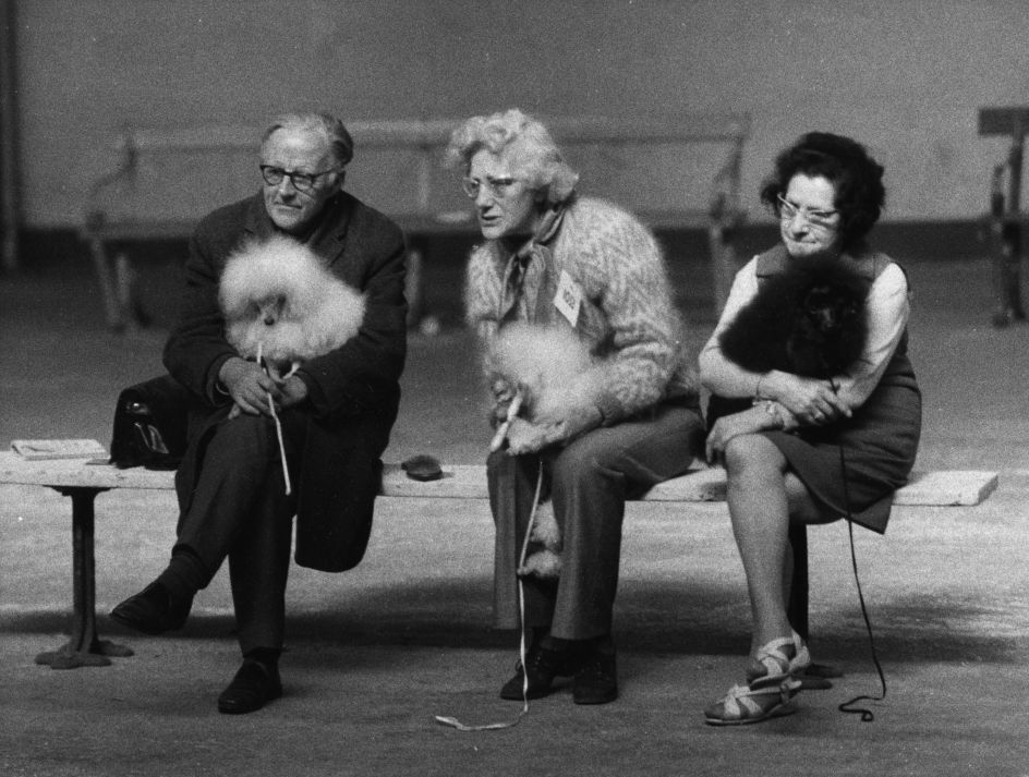 Shirley Baker, Manchester Dog Show