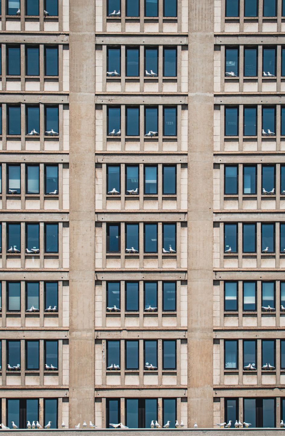 Sense of Belonging © Patrick Murhpy. Photography by Arnaud Tinel