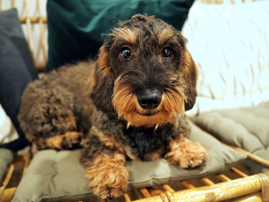 Ebba at House of Radon