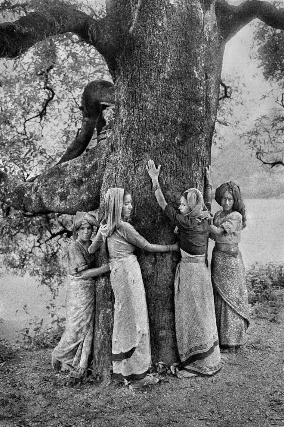 Pamela Singh, Tree Huggers of the Himalayas Series, 1994