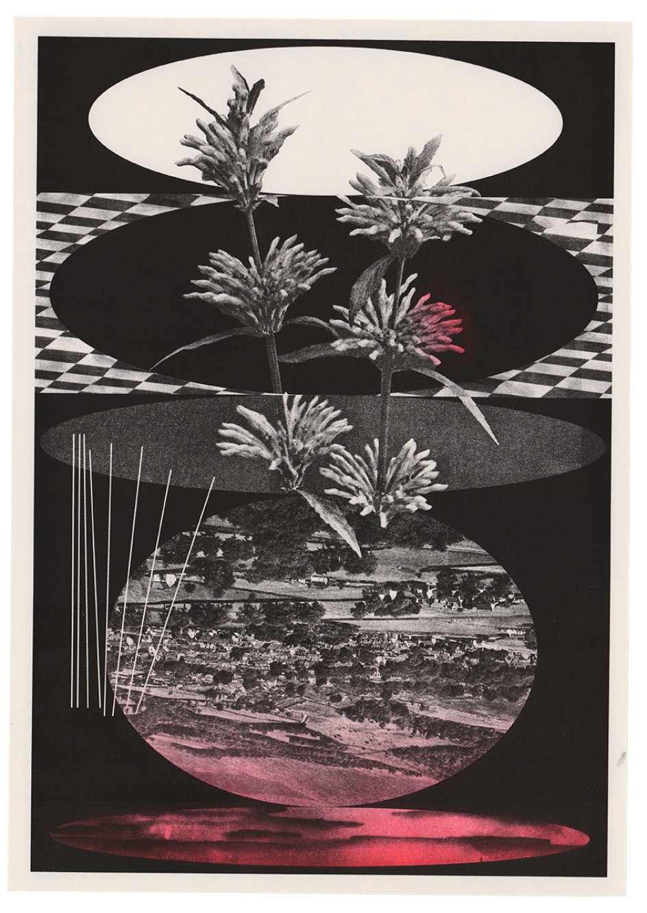 Shelby Guergis, Forever Together / Together Forever