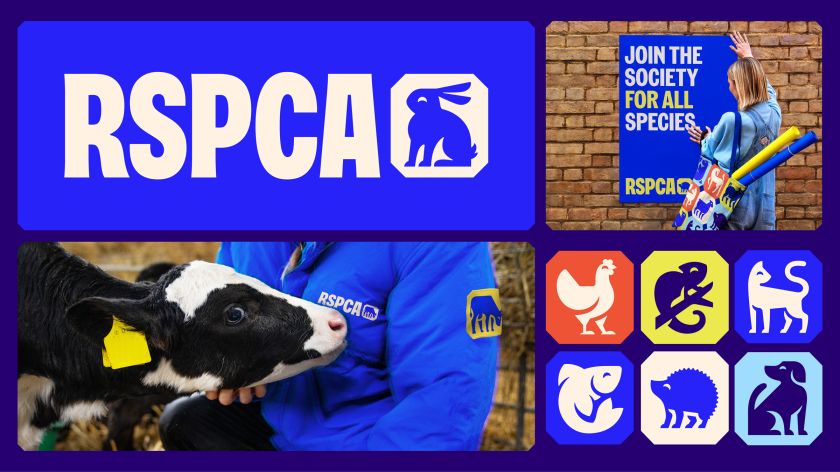 JKR overhauls RSPCA’s identity to align with its newly defined purpose