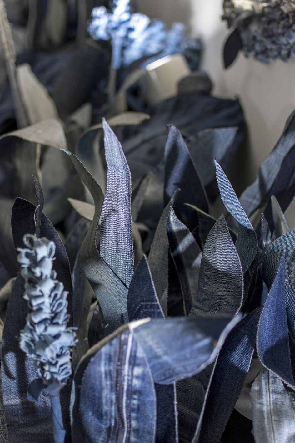 Photography by Will Ellis