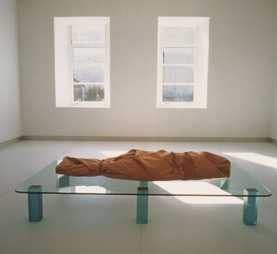 Catherine Richards, Shroud Chrysalis I, 2000 (Photo David Barbour)