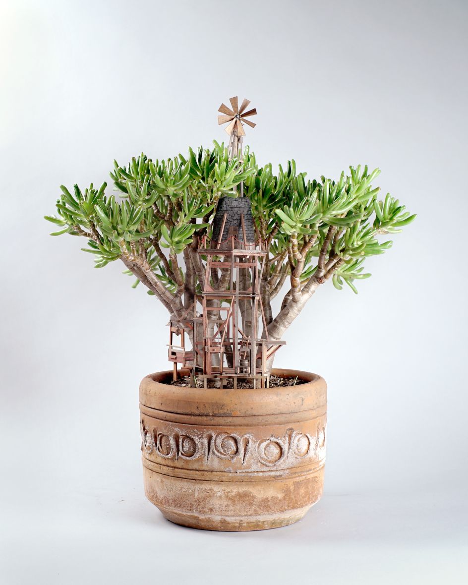 © Jedediah Corwyn Voltz