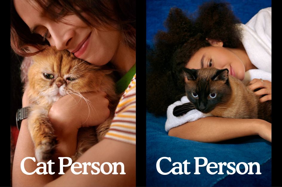 Brand photography celebrating the bond between cats and their person, photographed by David Robert Elliott