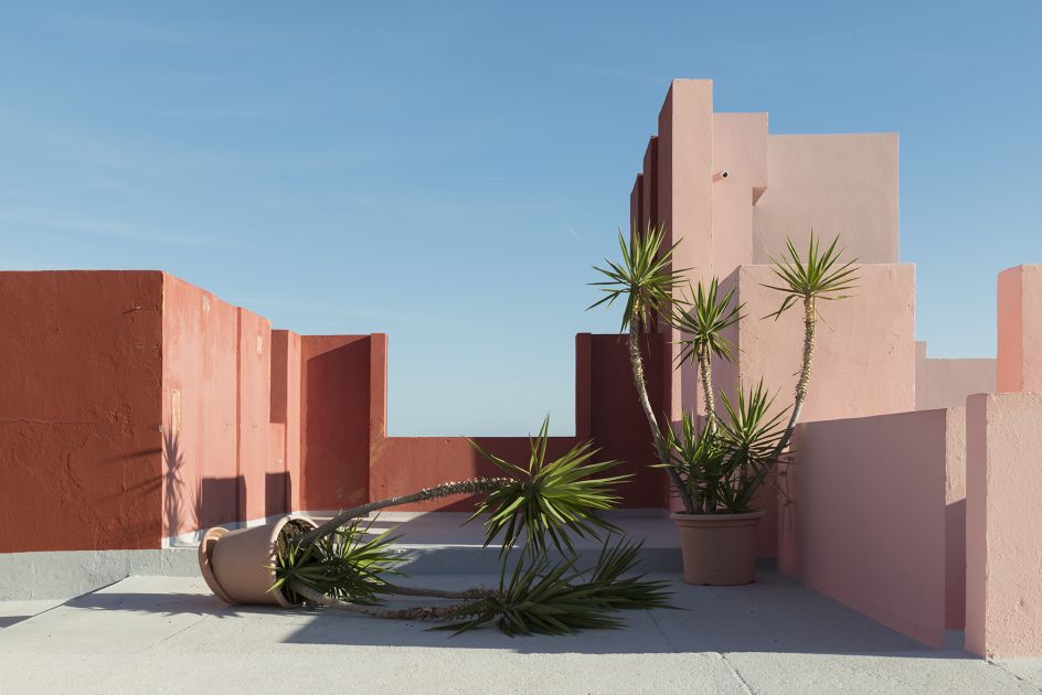 When arriving at the spot, it really felt like I interrupted these little palm trees while fighting, and they were pretending nothing happened. The photo was shot during my Christmas 2016 visit to Alicante, at Muralla Roja residential complex, designed by Ricardo Bofill | © Andrés Gallardo Albajar, Spain, Shortlist, Open, Still Life (open), 2017 Sony World Photography Awards