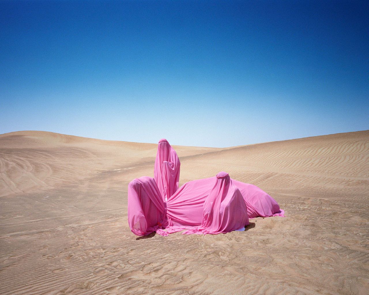 Scarlett Hooft Graafland, Still Life With Camel, 2016. All images courtesy of the artist and via Flowers Gallery