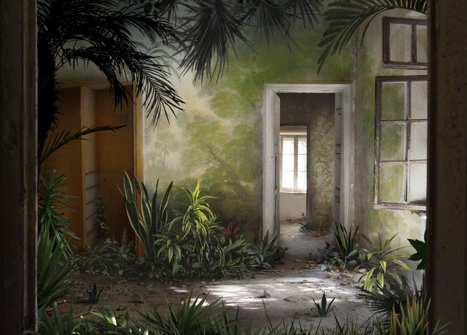 Suzanne Moxhay, Hothouse , 2019. Archival pigment print on Hahnemuhle Photorag, edition of 15, 76 x 106 cm. Courtesy of The Contemporary London