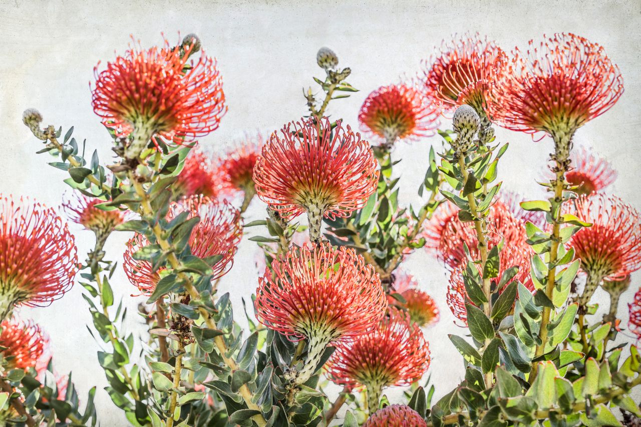 Via Creative Boom submission. All images courtesy of the photographer