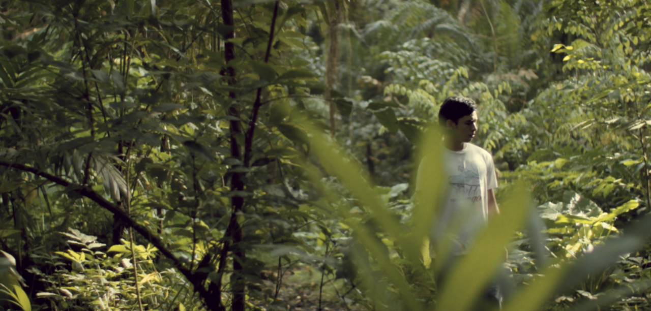 David Blandy, Empire of the Swamp, film still, 2023. © the Artist