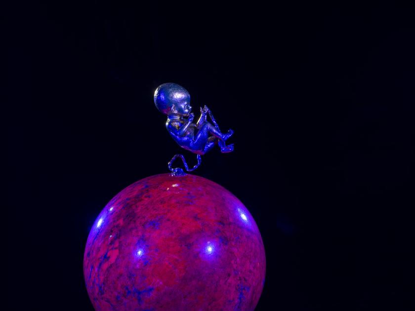 Wallace Chan 'Vessels of Other Worlds' photograph by Tian Fangfang © 2026