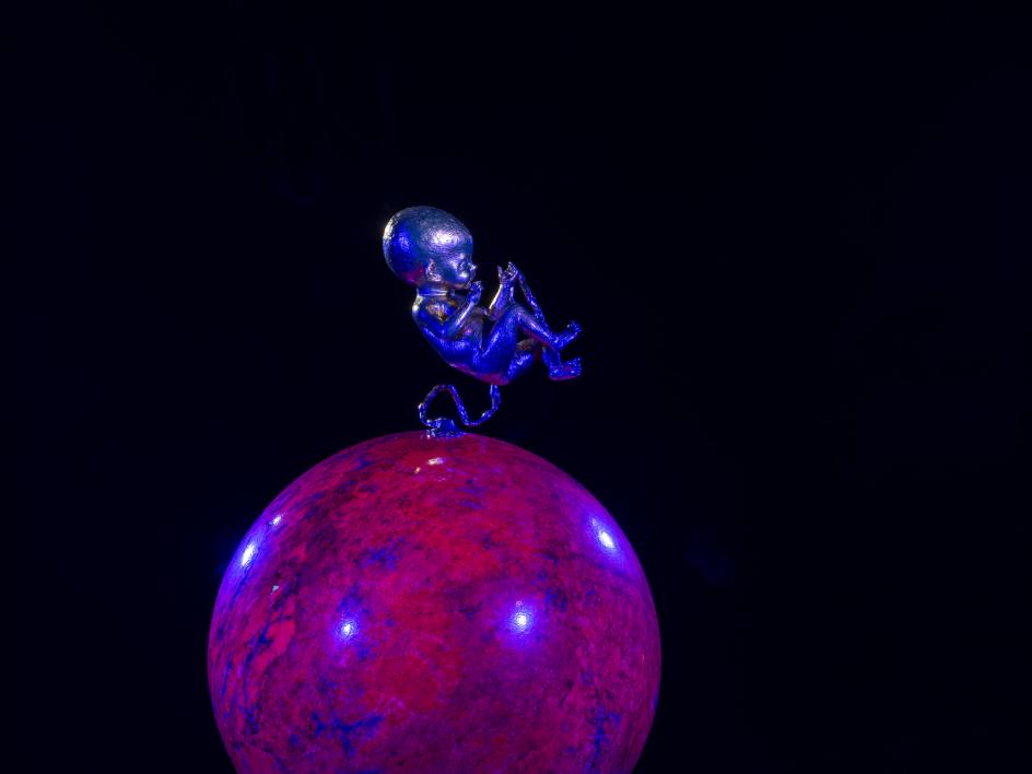 Wallace Chan 'Vessels of Other Worlds' photograph by Tian Fangfang © 2026