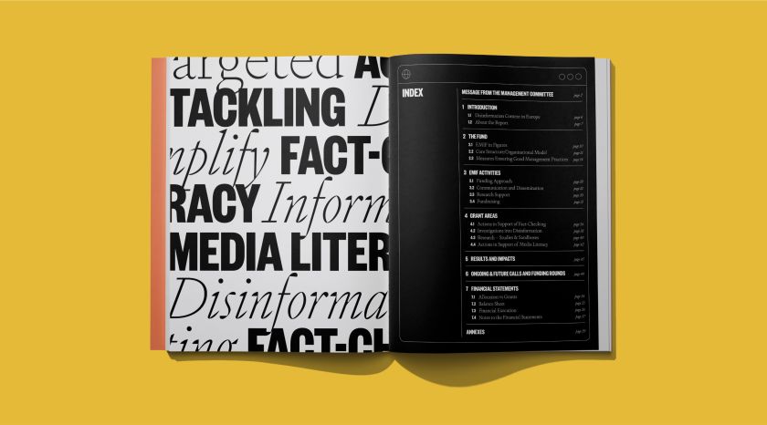How Chronica is helping EMIF battle disinformation with design