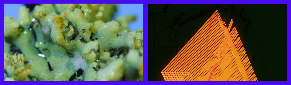 Benedict Drew, Incantation to rid this place of cars, without the help of Elon Musk, HD video still, 2017  © the artist, courtesy Tintype