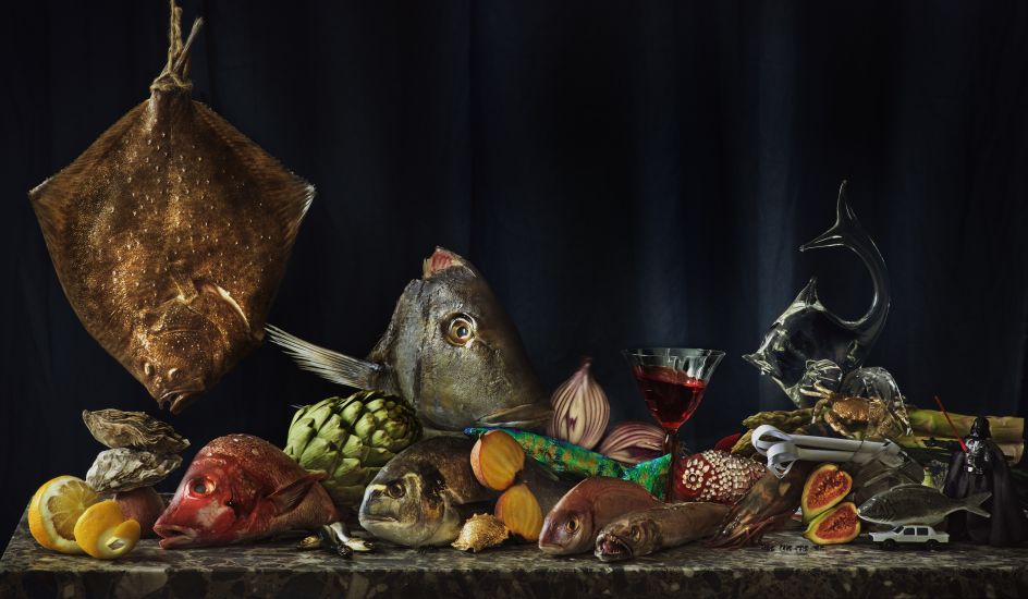 Josef Fischnaller, Fisch, 2013-2016, C-Print, aluminium dibond and acrylic, 70x120cm © the artist, courtesy of Cadogan Contemporary