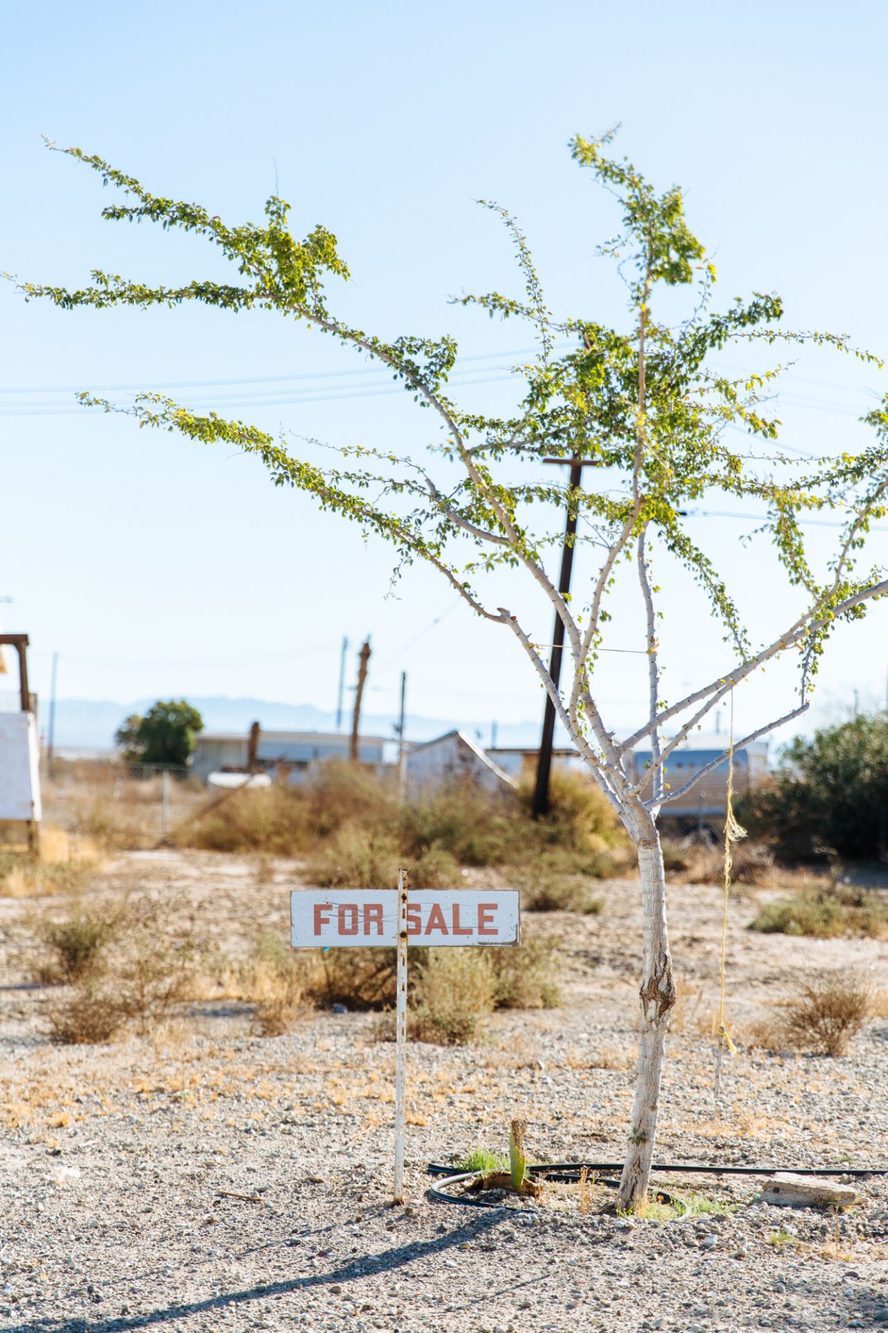 All images courtesy of Laura Austin. © Laura Austin