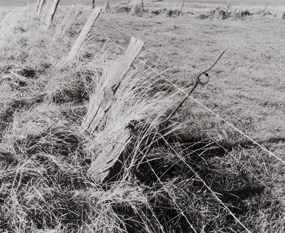 Wire Picket in Farm Fence, Frezenburg. © Peter Cattrell