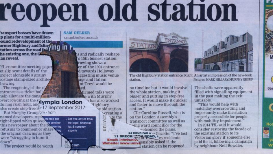 Paul Tarragó, Badger series, 2017 (c) the artist, courtesy Tintype