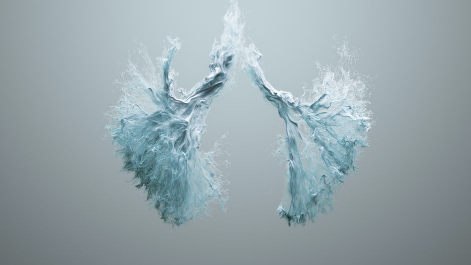 Marshmallow Laser Feast