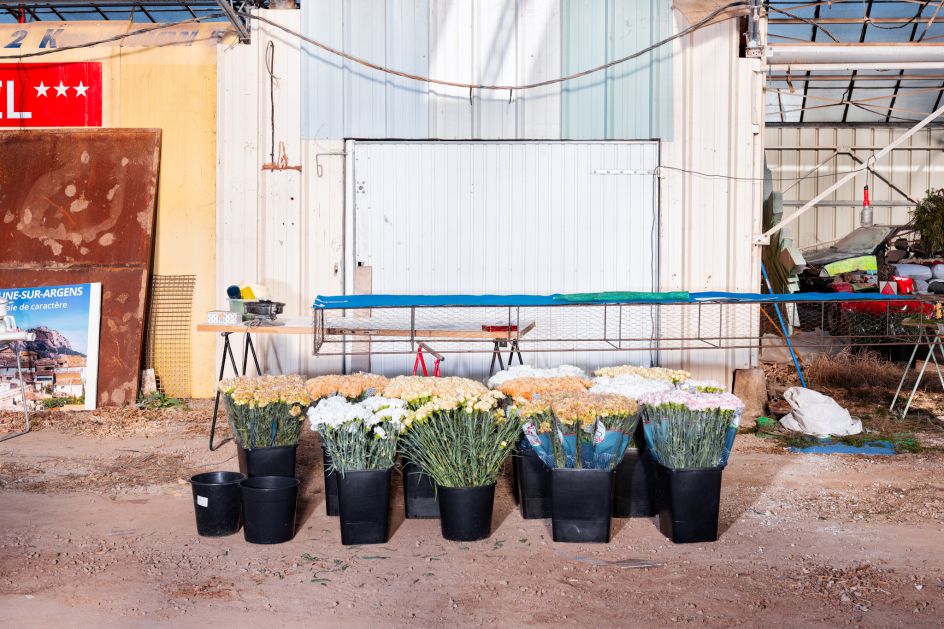 © Francois Ollivier