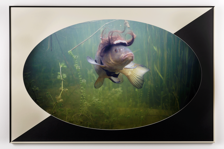 Photography: Tim Bowditch